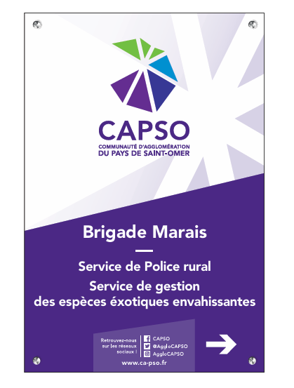 Création graphique CAPSO 1